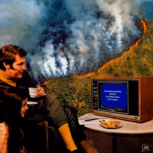 Burned Forest