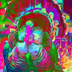 Trippy Turkey