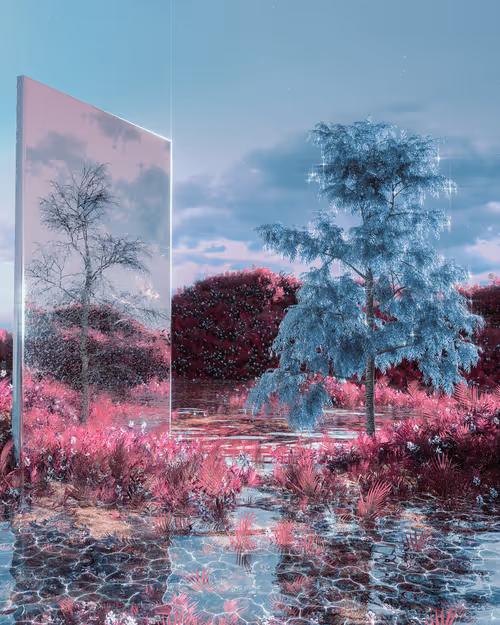 Item #17976007 Media