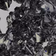 2672007