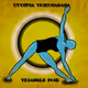 Triangle Pose