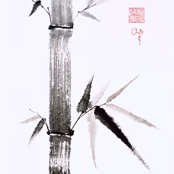 Bamboo