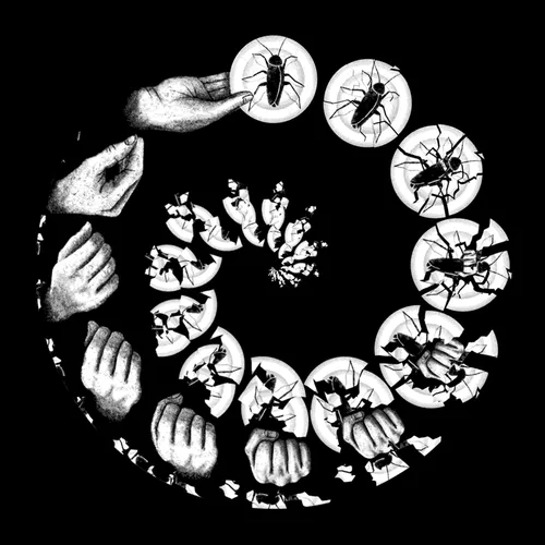Ruptures / Udinì Live Phenakistiscopes