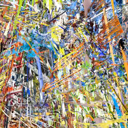 SHARDS