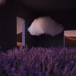 Dawn of Lavenders
