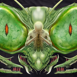 Praying Mantis