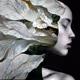 32477019