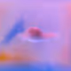 17243000