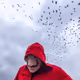 33019009