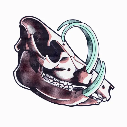 Known Origin
