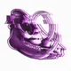 glitchSkull06_babirusa