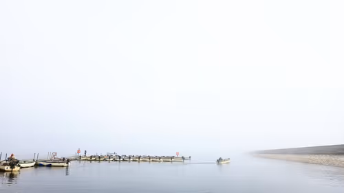 Item #18699000 Media