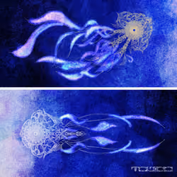 A perfect day for Jellyfish