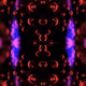 21059004
