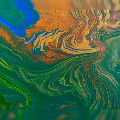 Coastal Edge