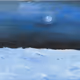 23903006