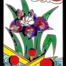 #017 [Hanafuda] Ayame ni Yatuhashi with Otaku Coin / 杜若
