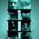 Malachite Kingdom