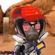 radbr01