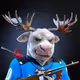 730