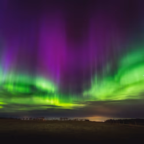 Eyes Of Lady Aurora
