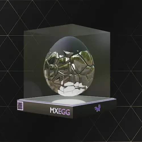 Item #491 Media
