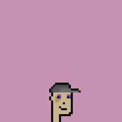 SmolPunk #3078