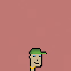 SmolPunk #1915