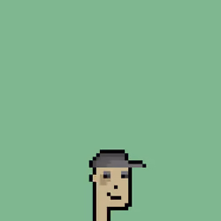 SmolPunk #790