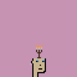SmolPunk #1418
