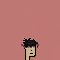 SmolPunk #1762