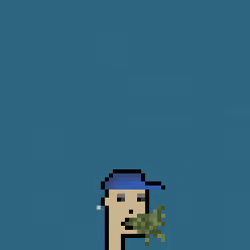 SmolPunk #554