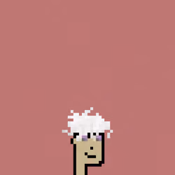 SmolPunk #596