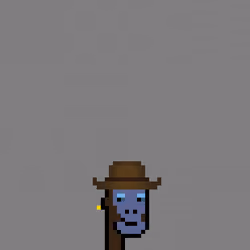 SmolPunk #1229