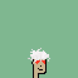 SmolPunk #409