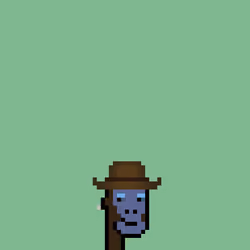 SmolPunk #3243