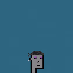 SmolPunk #356