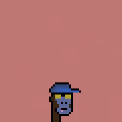 SmolPunk #354