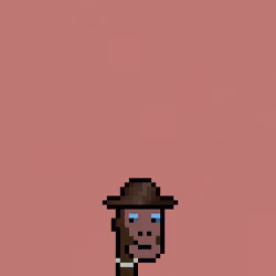 SmolPunk #451