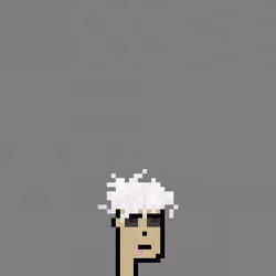 SmolPunk #2893