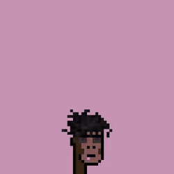 SmolPunk #2412