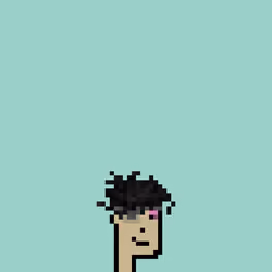 SmolPunk #1070