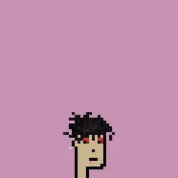 SmolPunk #2172