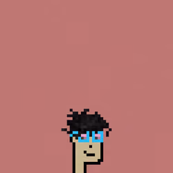 SmolPunk #1326