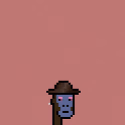 SmolPunk #2573