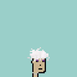 SmolPunk #781