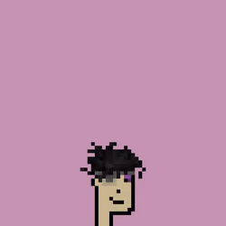 SmolPunk #66