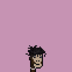 SmolPunk #481