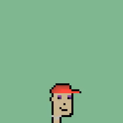 SmolPunk #1290
