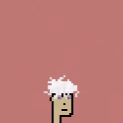 SmolPunk #2724